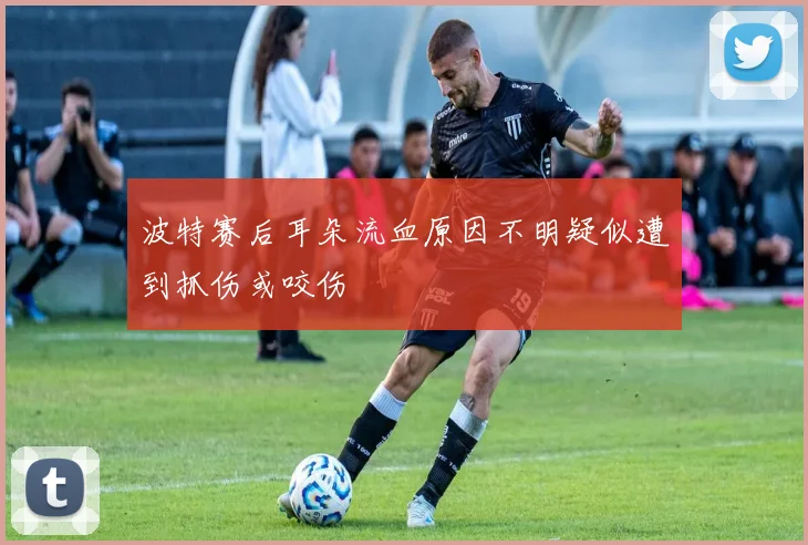 波特赛后耳朵流血原因不明疑似遭到抓伤或咬伤